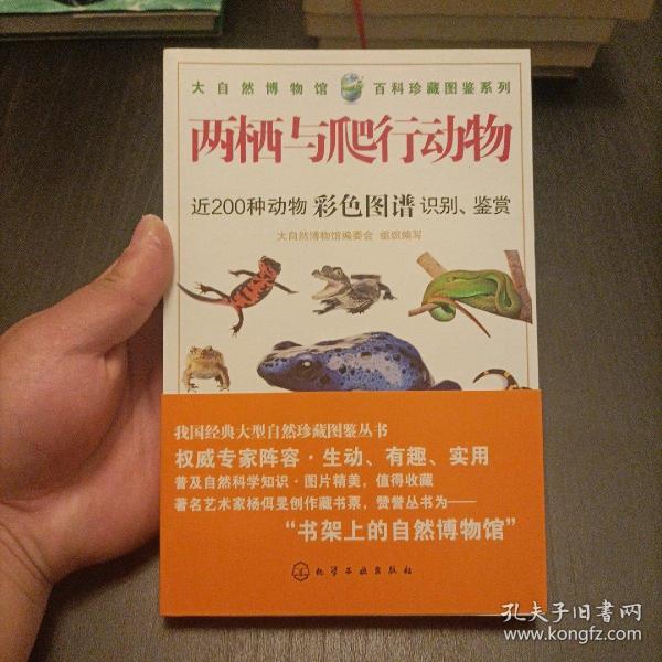 大自然博物馆·百科珍藏图鉴系列--两栖与爬行动物