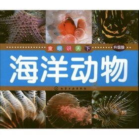 海洋动物（升级版 ）博文文化中心