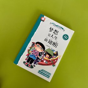 梦想是人生的翅膀 关于成长的故事