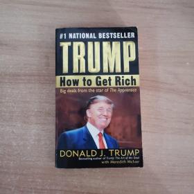 TRUMP HOW TO GET RICH