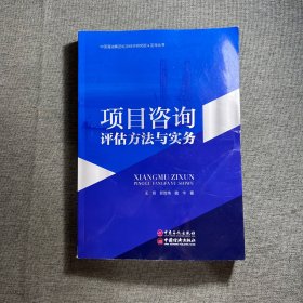 项目咨询评估方法与实务