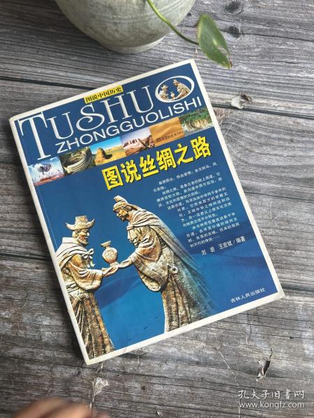 图说中国历史：图说丝绸之路