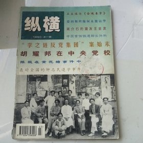 纵横1999年第3期