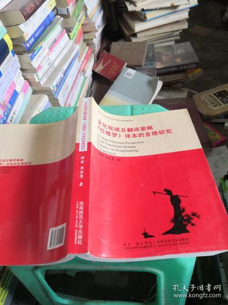 文化视域及翻译策略：《红楼梦》译本的多维研究