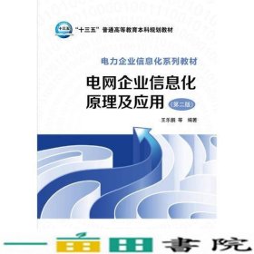 电网企业信息化原理及应用第二2版王乐鹏中国电力出9787512386013