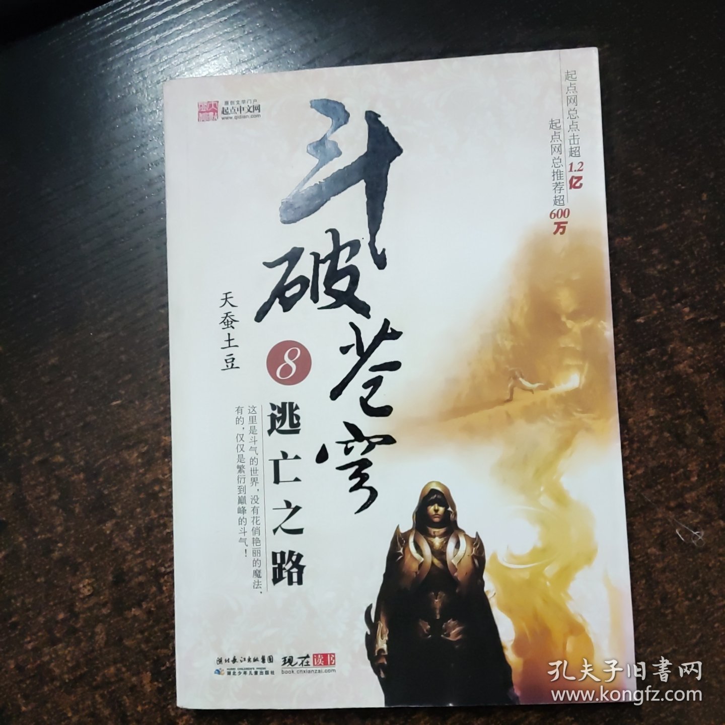 斗破苍穹8逃亡之路