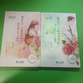 爱你，是我的地老天荒1，2两本合售