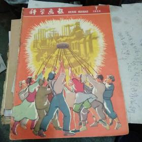科学画报 1958年7期