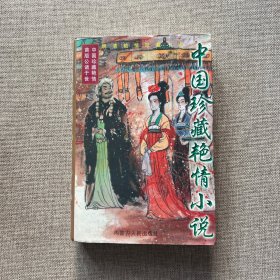 中国珍藏艳情小说