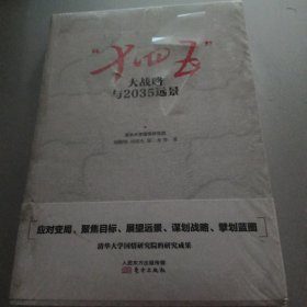 “十四五”大战略与2035远景