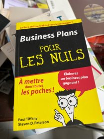 BUSINESS PLANS POUR LES NULS