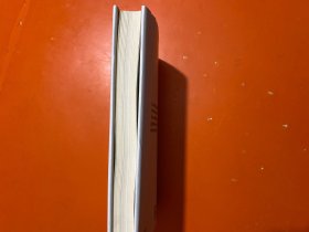 A Year In The Art World 艺术世界的一年 英文原版