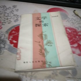 文学的探索