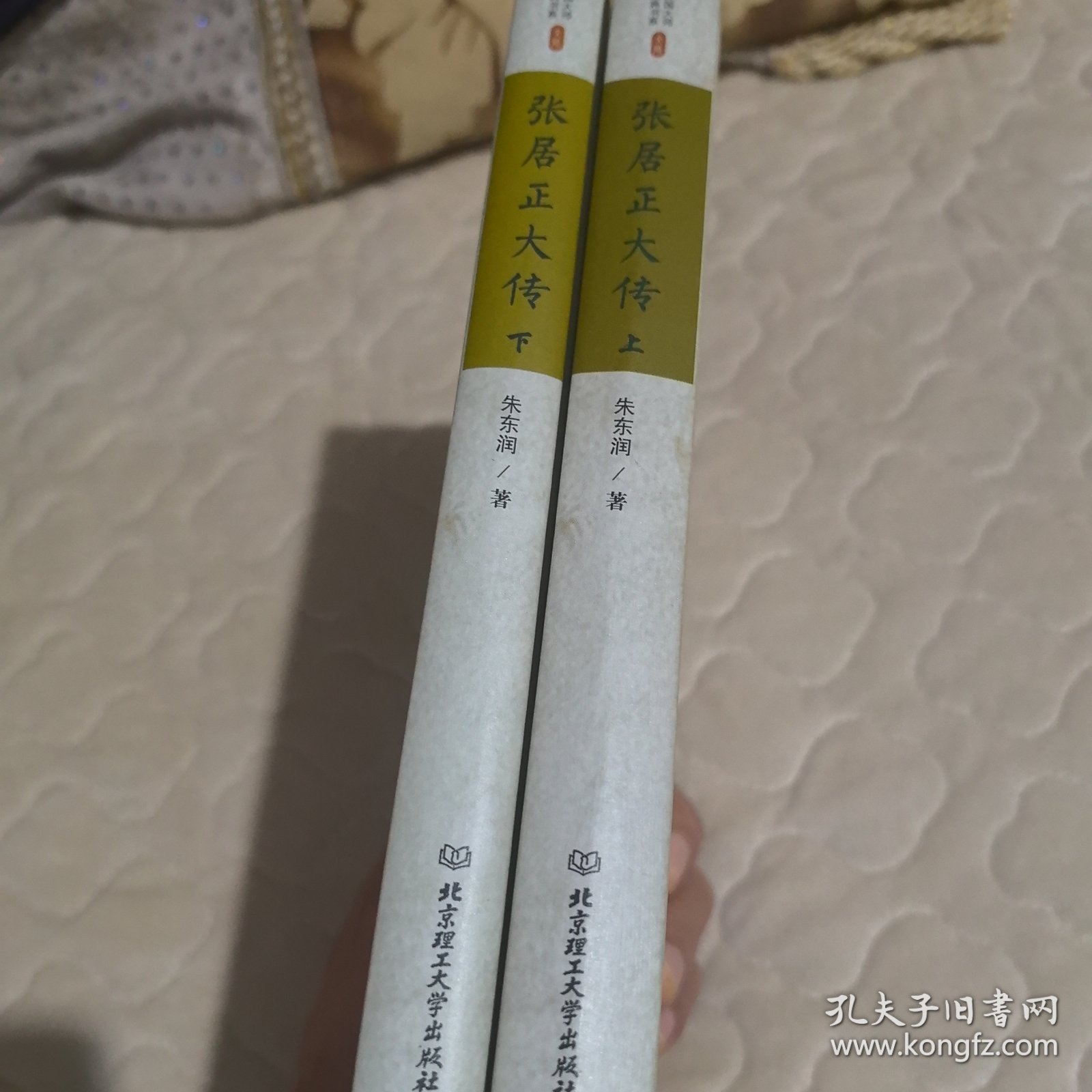 张居正大传