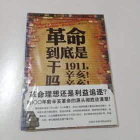 革命到底是干吗？：1911，辛亥！辛亥！