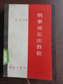 刑事诉讼法教程