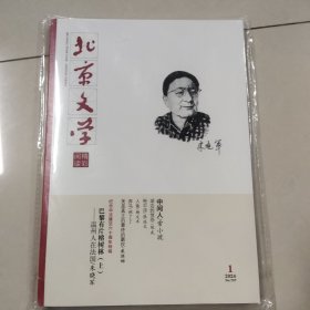 北京文学精彩阅读