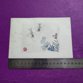 哈尔滨艺术学院藏书画片