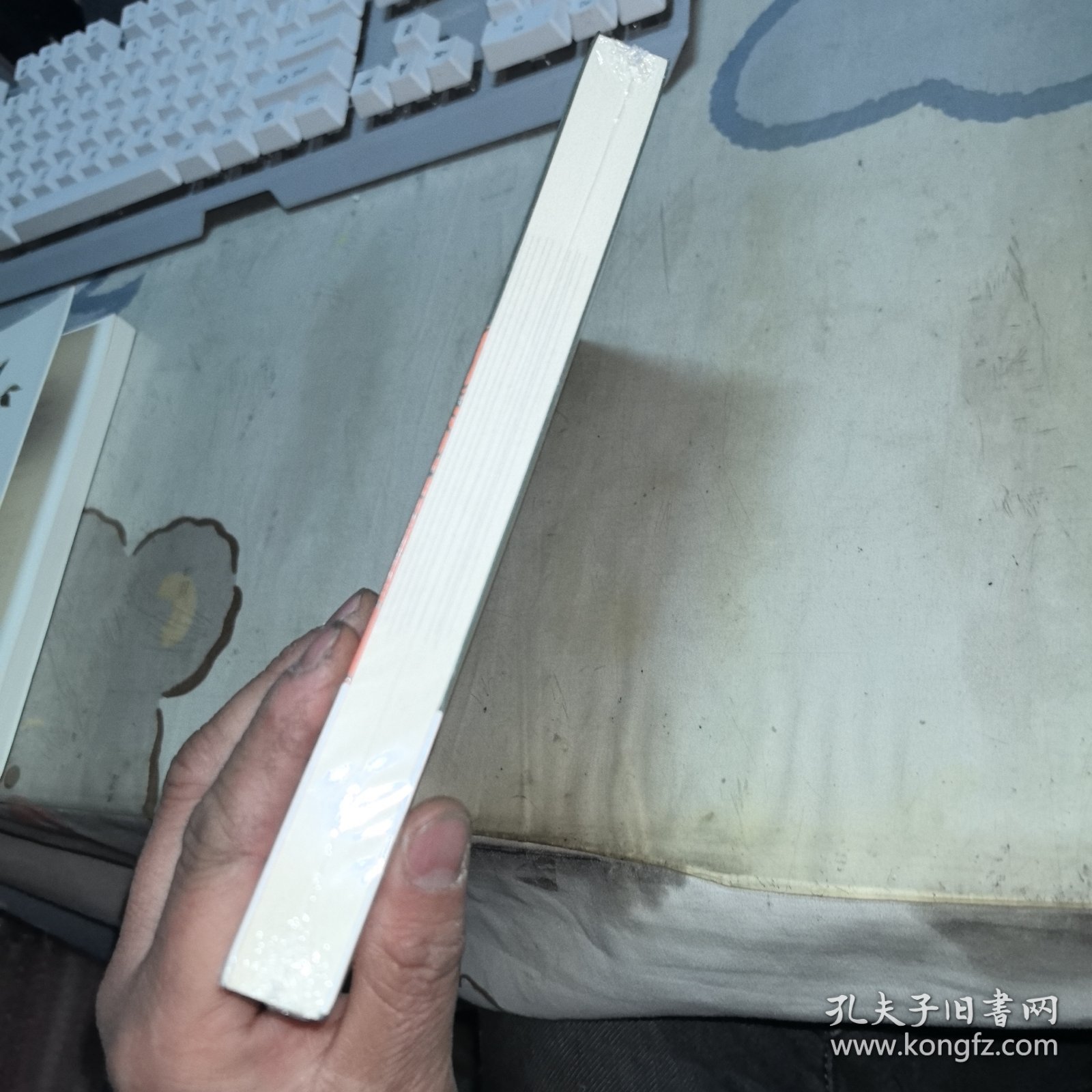 名叫月光的骏马