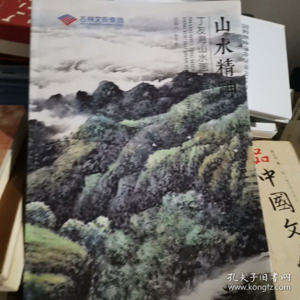 山水精神 丁友海山水画作品集