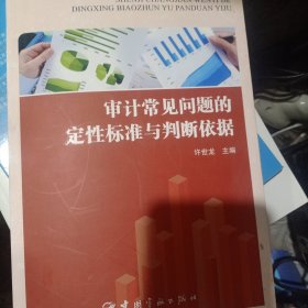 审计常见问题的定性标准与判断依据