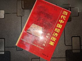 当代中国经济改革・战略与实施