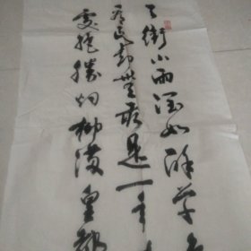 字画:孙晓雲书法