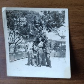 1956年福州西湖公园留影照片