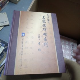 中国书法教学：名家临碑帖系列 DVD