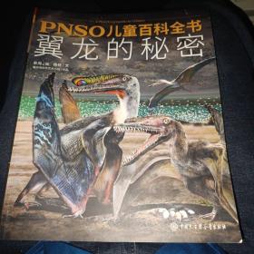 PNSO儿童百科全书：翼龙的秘密