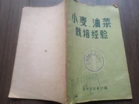 小麦油菜栽培经验