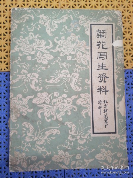 菊花写生资料