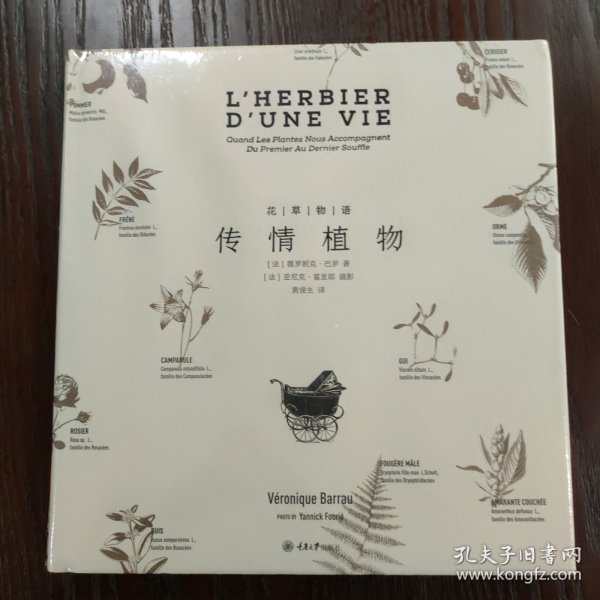 花草物语：传情植物