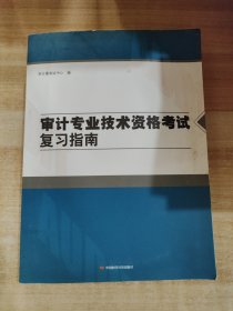 审计专业技术资格考试复习指南