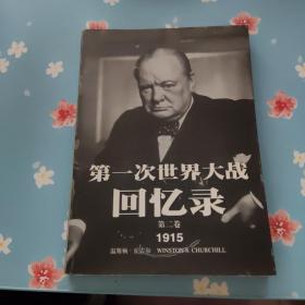 第一次世界大战回忆录（第二卷）