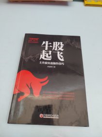 牛股起飞：主升浪实盘操作技巧