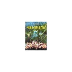 中国云南野生花卉 园林艺术 武全安 新华正版