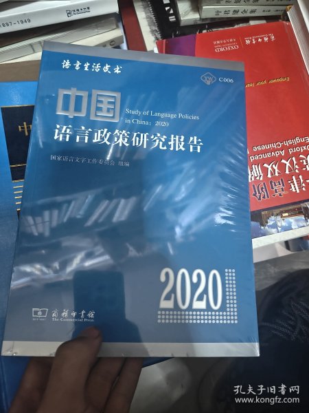 中国语言政策研究报告（2020）