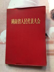 湖南省人民代表大会笔记本（空白）