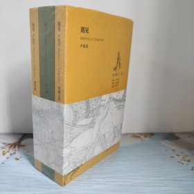 遇见卢延光（全3册）