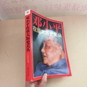 邓小平在重大历史关头：纪念邓小平南方谈话20周年