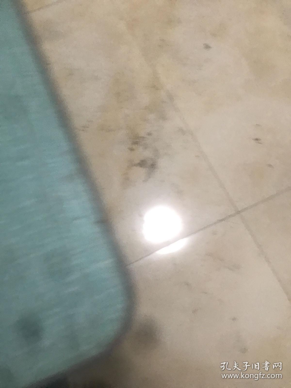 心灵的激情 （上下册）