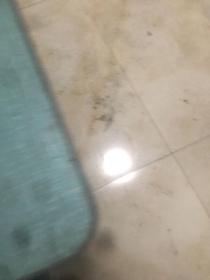 心灵的激情 （上下册）