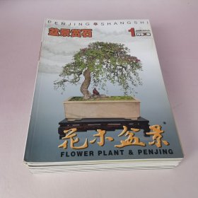 盆景赏石 花卉盆景（2010年全年1-12期，缺少第8期）