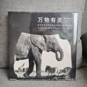 万物有灵：国际野生生物摄影年赛第51届获奖作品