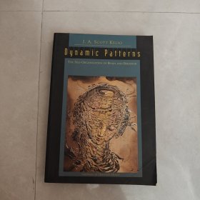 Dynamic Patterns（动态模式）英文版
