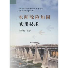 水闸除险加固实用技术