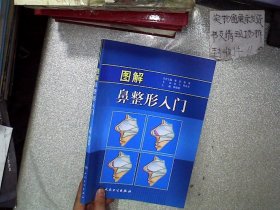 图解鼻整形入门