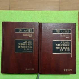 人民法院刑事指导案例裁判要旨通纂（上下卷 第二版）