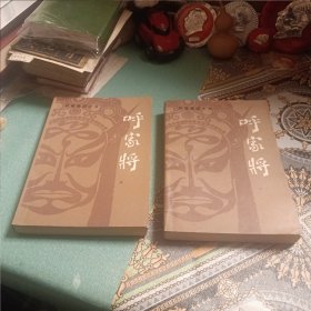 长篇章回大书:呼家将（上下册）